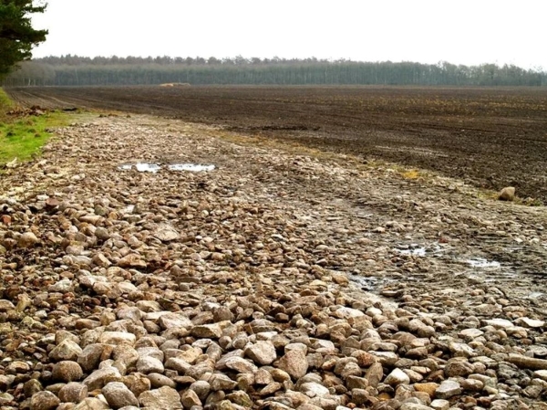 Op de uitgestrekte akker bij Peest kwamen van nature bijzonder veel zwerfstenen voor