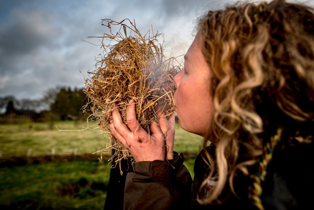 Vuur aanblazen in stro