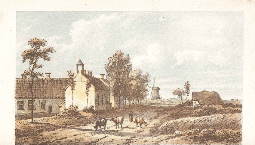 Kleurenafbeelding met koeien, kerk, klein huis en molen op de achtergrond.