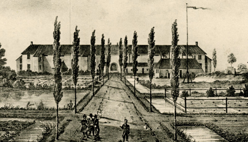 Zwartwit tekening met een laan met bomen. In het midden een groot gebouw