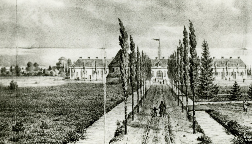 Zwartwit tekening met een laan met bomen. In het midden een groot gebouw