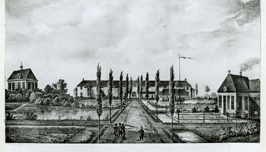 Zwartwit tekening met huizen en enkele bomen