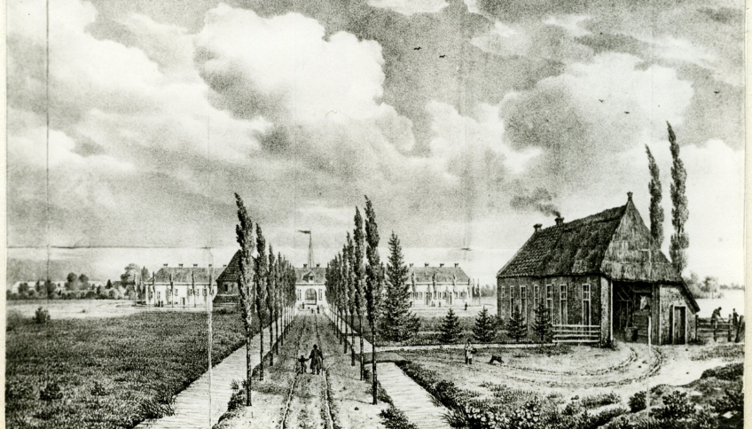 Zwartwit tekening met een laan met bomen. Rechts een huis